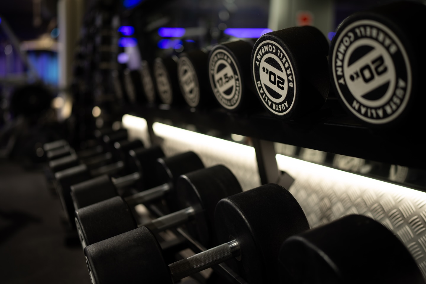 Row of branded dumbbells under LED strip lighting
