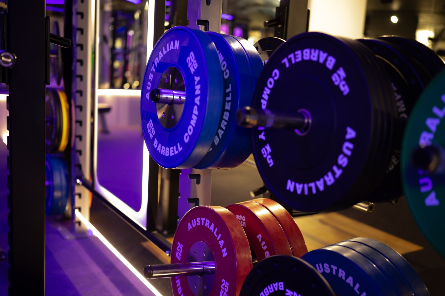 Close up of blue and red weight plates in purple light