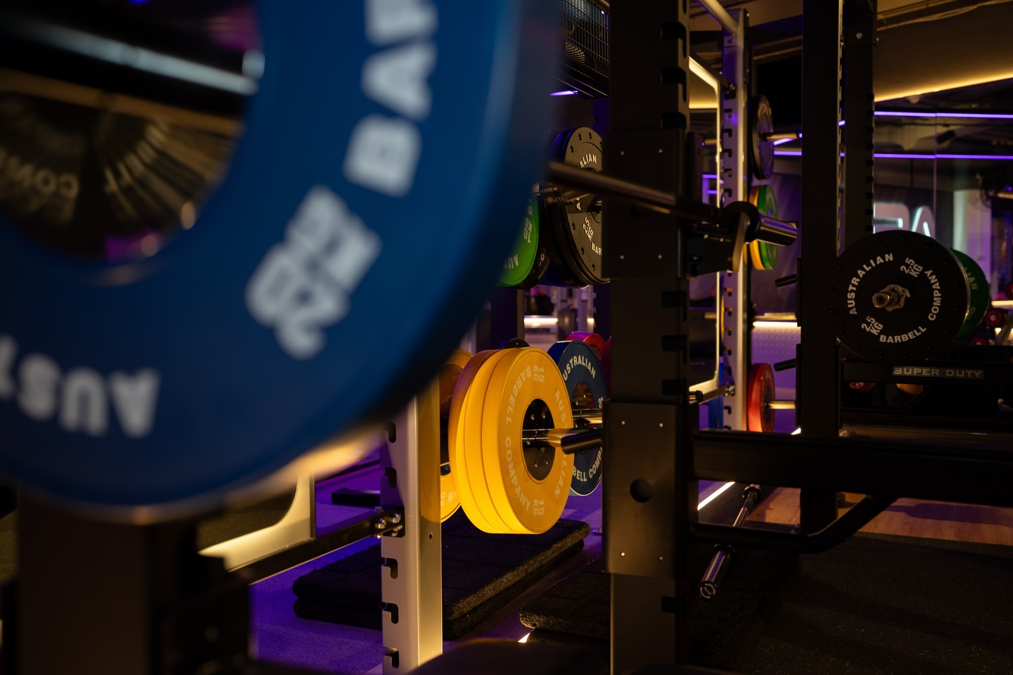 Close up of branded weight plates on a rack